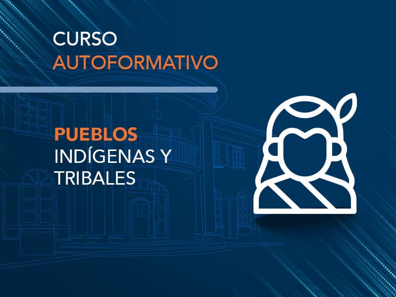 Pueblos Indígenas y tribales