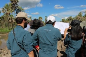 Judges checking document in the field