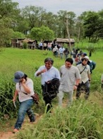 People walking amid the undergrowth